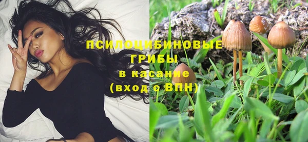 ALPHA PVP Верхнеуральск