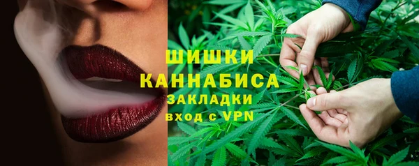 ПСИЛОЦИБИНОВЫЕ ГРИБЫ Верхний Тагил