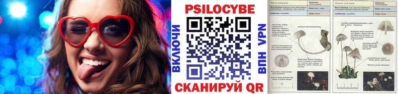 Псилоцибиновые грибы Psilocybe Каспийск
