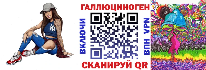 kraken   Каспийск  Псилоцибиновые грибы GOLDEN TEACHER  закладки 